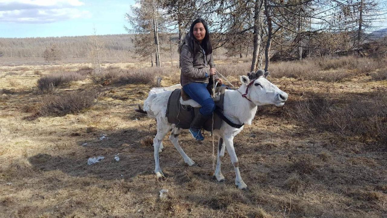 Mountain View Guest House Мьорьон Екстериор снимка